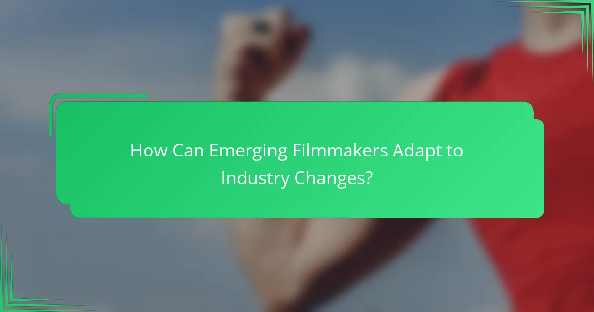 How Can Emerging Filmmakers Adapt to Industry Changes?