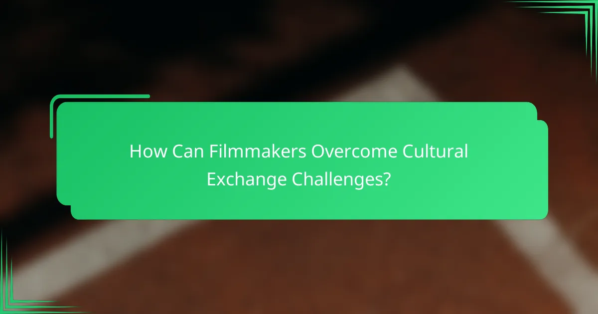 How Can Filmmakers Overcome Cultural Exchange Challenges?