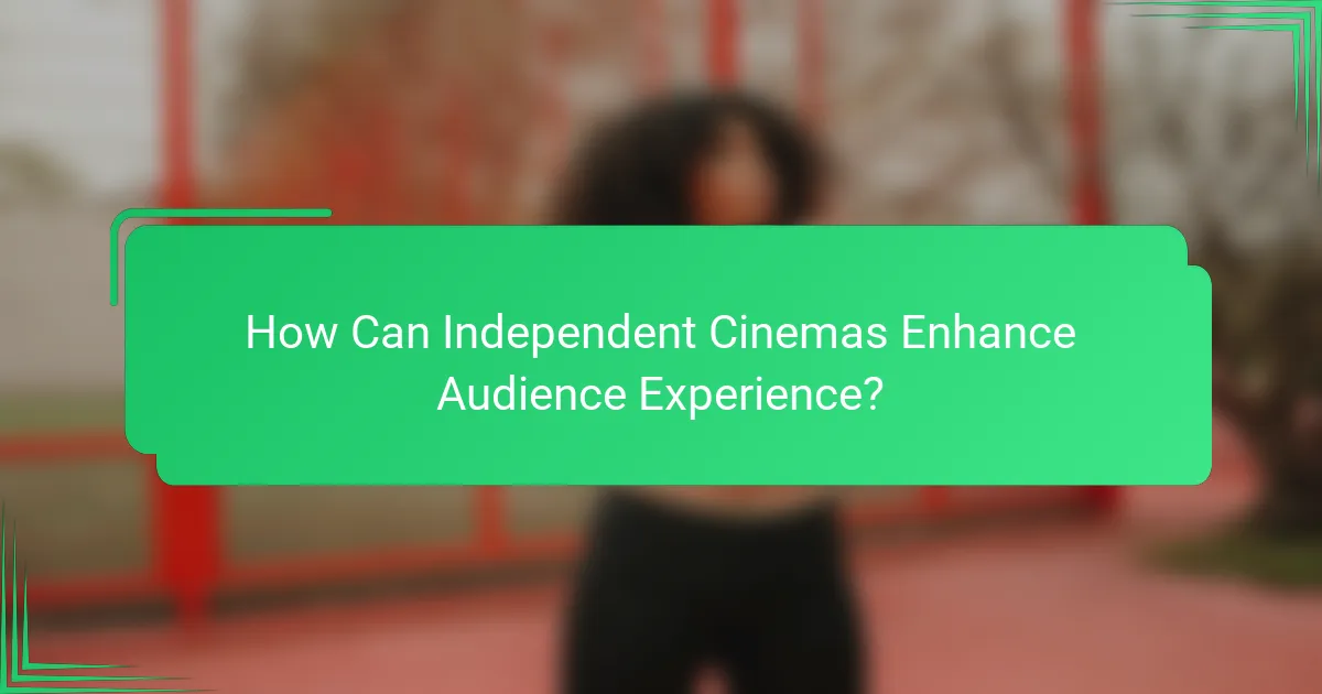How Can Independent Cinemas Enhance Audience Experience?