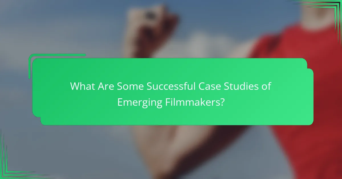 What Are Some Successful Case Studies of Emerging Filmmakers?