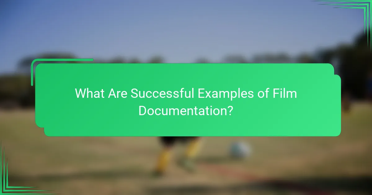What Are Successful Examples of Film Documentation?