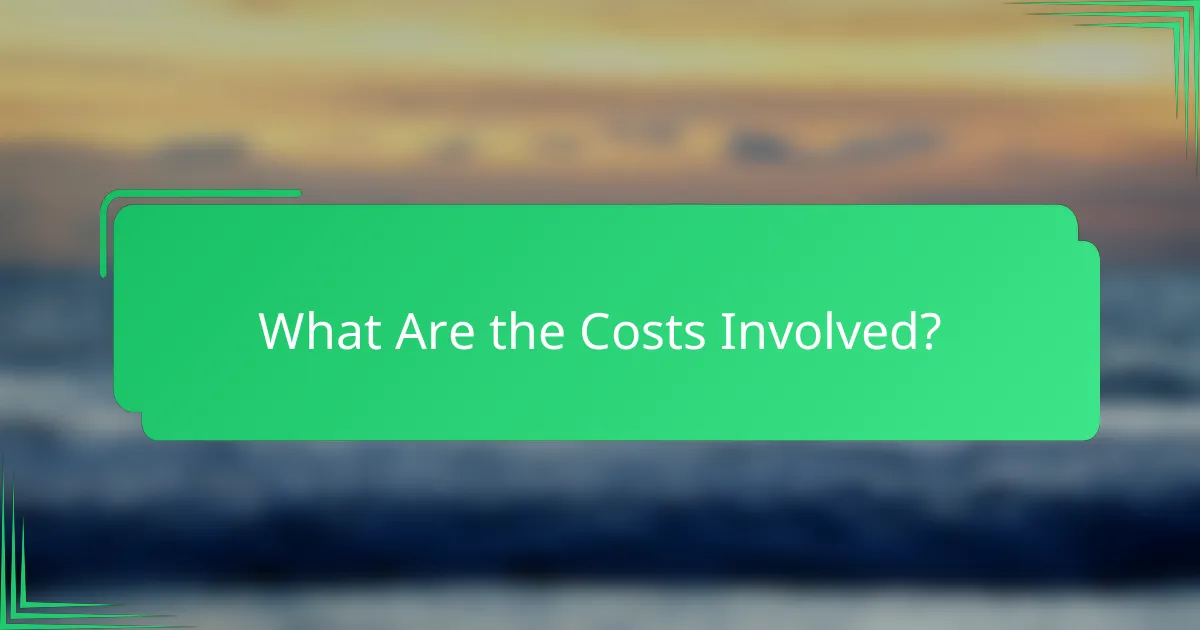 What Are the Costs Involved?