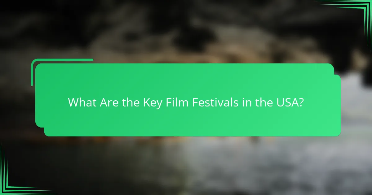 What Are the Key Film Festivals in the USA?
