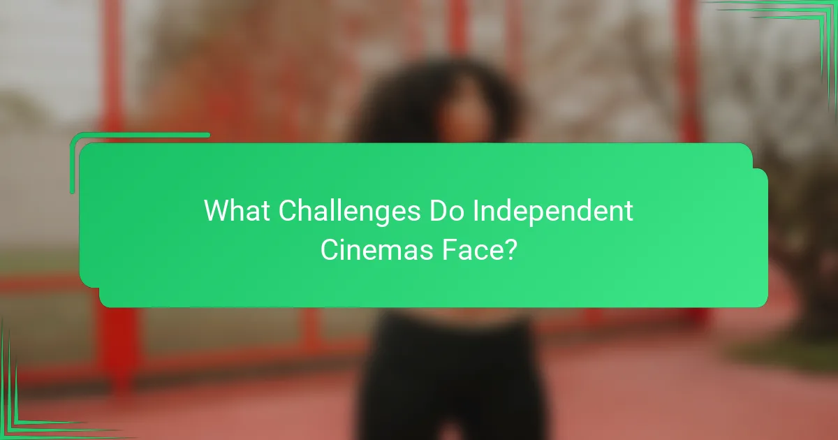 What Challenges Do Independent Cinemas Face?