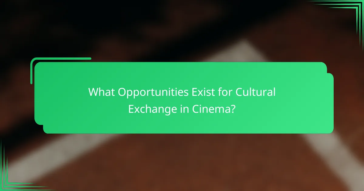 What Opportunities Exist for Cultural Exchange in Cinema?